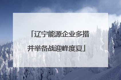 辽宁能源企业多措并举备战迎峰度夏