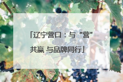 辽宁营口：与“营”共赢 与品牌同行