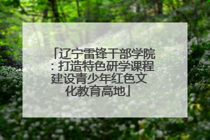 辽宁雷锋干部学院：打造特色研学课程 建设青少年红色文化教育高地