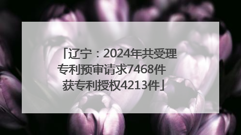 辽宁：2024年共受理专利预审请求7468件 获专利授权4213件