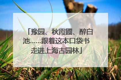 豫园、秋霞圃、醉白池……跟着这本口袋书走进上海古园林