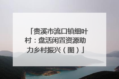 贵溪市流口镇细叶村：盘活闲置资源助力乡村振兴（图）