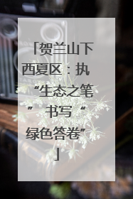 贺兰山下西夏区：执“生态之笔” 书写“绿色答卷”