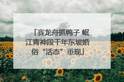 赛龙舟抓鸭子 岷江青神段千年东坡婚俗“活态”重现