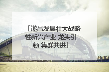 遂昌发展壮大战略性新兴产业 龙头引领 集群共进