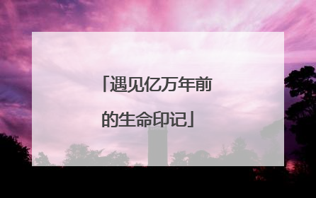 遇见亿万年前的生命印记