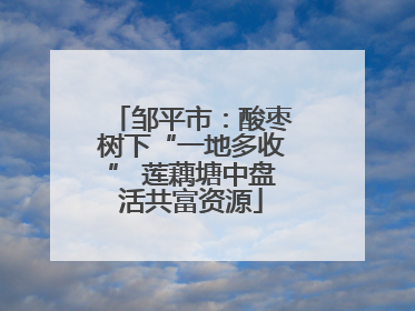 邹平市：酸枣树下“一地多收” 莲藕塘中盘活共富资源