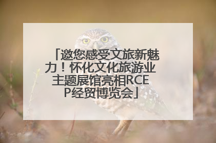 邀您感受文旅新魅力！怀化文化旅游业主题展馆亮相RCEP经贸博览会