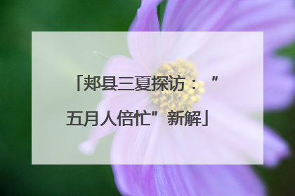 郏县三夏探访：“五月人倍忙”新解
