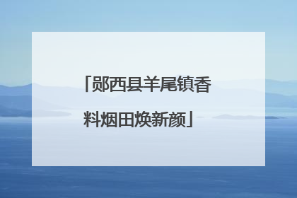 郧西县羊尾镇香料烟田焕新颜
