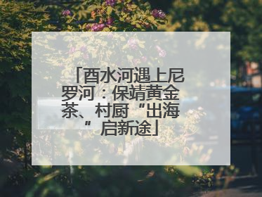 酉水河遇上尼罗河：保靖黄金茶、村厨“出海”启新途