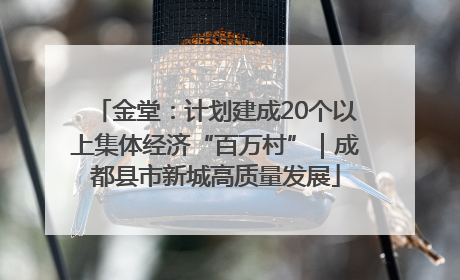 金堂：计划建成20个以上集体经济“百万村”｜成都县市新城高质量发展