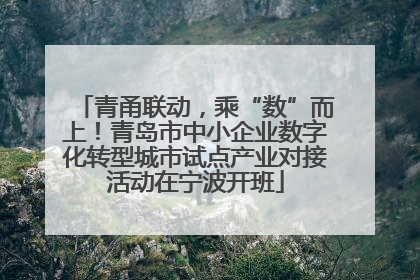 青甬联动，乘“数”而上！青岛市中小企业数字化转型城市试点产业对接活动在宁波开班