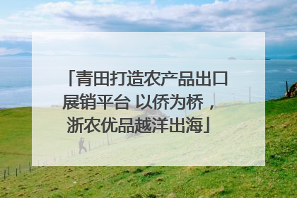 青田打造农产品出口展销平台 以侨为桥，浙农优品越洋出海