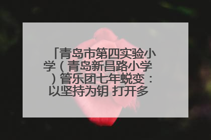 青岛市第四实验小学（青岛新昌路小学）管乐团七年蜕变：以坚持为钥 打开多元成长之门