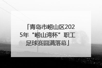 青岛市崂山区2025年“崂山湾杯”职工足球赛圆满落幕