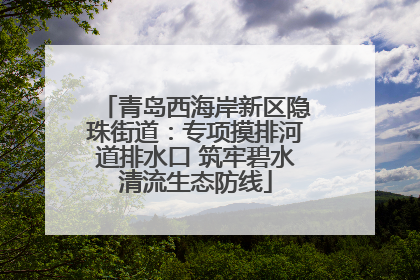 青岛西海岸新区隐珠街道：专项摸排河道排水口 筑牢碧水清流生态防线