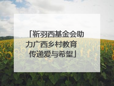 靳羽西基金会助力广西乡村教育 传递爱与希望