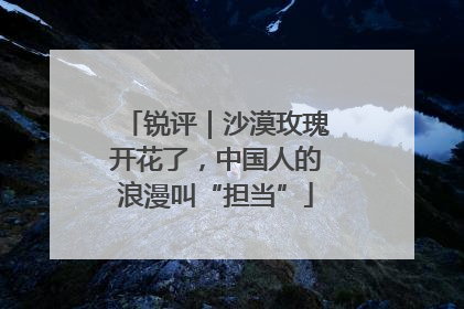 锐评｜沙漠玫瑰开花了，中国人的浪漫叫“担当”