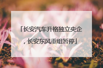 长安汽车升格独立央企，长安东风重组暂停