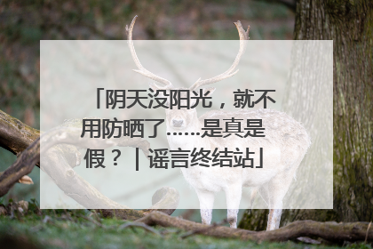 阴天没阳光，就不用防晒了……是真是假？｜谣言终结站