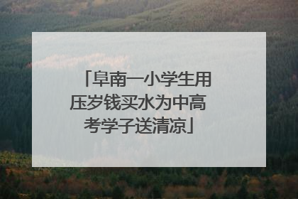 阜南一小学生用压岁钱买水为中高考学子送清凉