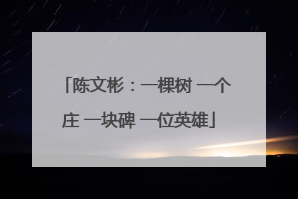 陈文彬：一棵树 一个庄 一块碑 一位英雄