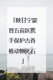 陕甘宁蒙晋五省区携手保护古脊椎动物化石
