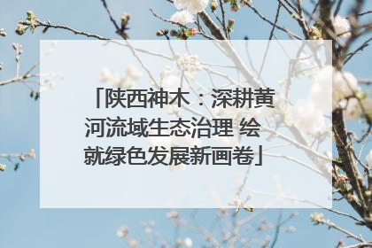 陕西神木：深耕黄河流域生态治理 绘就绿色发展新画卷