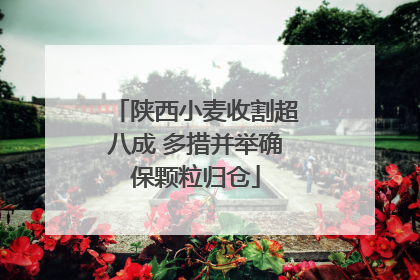 陕西小麦收割超八成 多措并举确保颗粒归仓