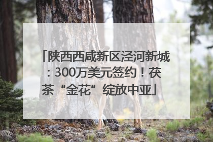 陕西西咸新区泾河新城：300万美元签约！茯茶“金花”绽放中亚