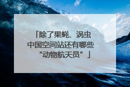 除了果蝇、涡虫 中国空间站还有哪些“动物航天员”