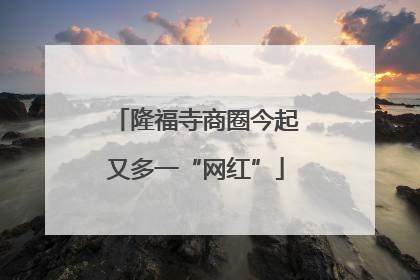 隆福寺商圈今起又多一“网红”