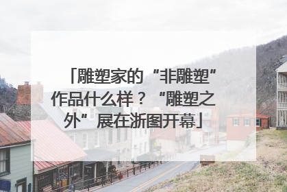 雕塑家的“非雕塑”作品什么样？“雕塑之外”展在浙图开幕