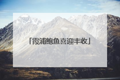 霞浦鲍鱼喜迎丰收