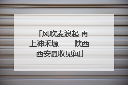 风吹麦浪起 再上神禾塬——陕西西安夏收见闻