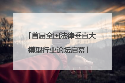 首届全国法律垂直大模型行业论坛启幕