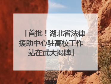 首批！湖北省法律援助中心驻高校工作站在武大揭牌