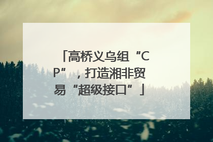 高桥义乌组“CP”，打造湘非贸易“超级接口”