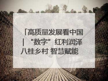 高质量发展看中国｜“数字”红利润泽八桂乡村 智慧赋能绘就振兴画卷