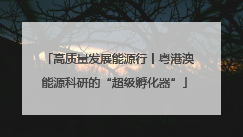 高质量发展能源行丨粤港澳能源科研的“超级孵化器”