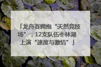 龙舟赛拥抱“天然竞技场”，12支队伍枣林湖上演“速度与激情”