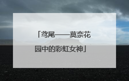 鸢尾——莫奈花园中的彩虹女神