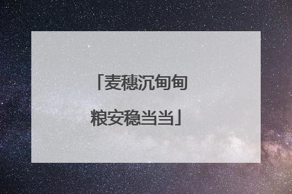 麦穗沉甸甸 粮安稳当当