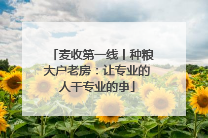 麦收第一线丨种粮大户老房：让专业的人干专业的事