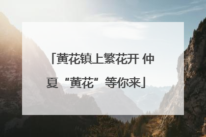 黄花镇上繁花开 仲夏“黄花”等你来