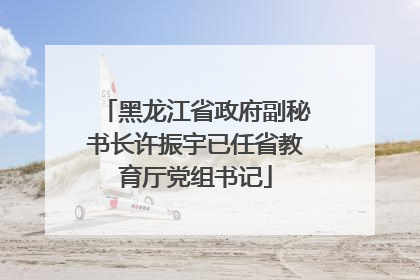 黑龙江省政府副秘书长许振宇已任省教育厅党组书记