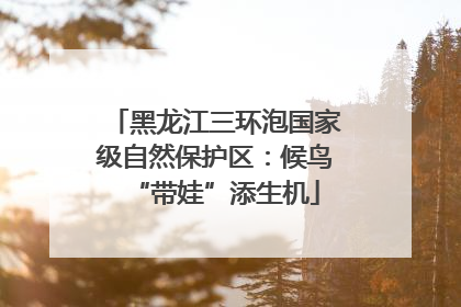 黑龙江三环泡国家级自然保护区：候鸟“带娃”添生机
