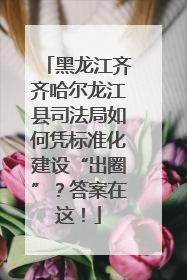 黑龙江齐齐哈尔龙江县司法局如何凭标准化建设“出圈”？答案在这！