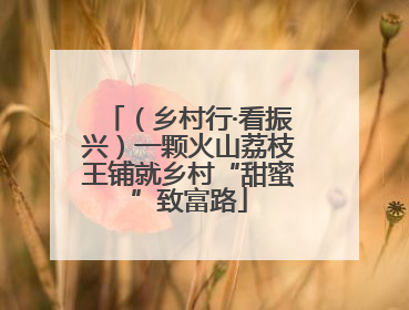 （乡村行·看振兴）一颗火山荔枝王铺就乡村“甜蜜”致富路